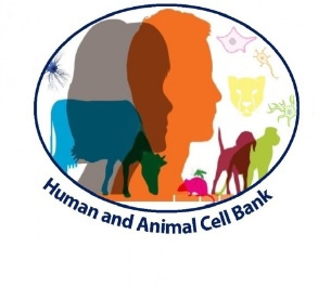 بانک سلول‌های انسانی و جانوری