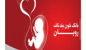 کارشناسان فنی بانک خون بند ناف جنوب کشور در شیراز گردهم می‌آیند