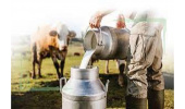 اجرای طرح آنالیز شیر با همکاری جهاددانشگاهی در خراسان شمالی