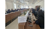 برپایی کارگاه آموزشی «خدمات باروری سالم و بررسی علل ناباروری» در فراهان