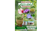 نخستین جشنواره گیاهان دارویی و صنایع وابسته در خنداب برپا میشود