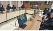 بررسی علمی سیره رضوی در تقویت انسجام اجتماعی جامعه شیعه