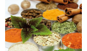 اجرای طرح جمعآوری «اتنوبوتانیکی» استان خراسانشمالی