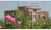 وقتی دانش و پژوهش چاشنی گل محمدی میشود