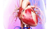 طراحی داربستی برای ایجاد مدلهای قلبی در شرایط آزمایشگاهی