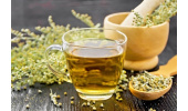 افسنطین و خواص این گیاه در رفع کم خونی و نابودی سلولهای سرطانی