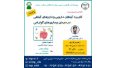 کنفرانس علمی یکروزه «کاربرد گیاهان دارویی و داروهای گیاهی در درمان بیماریهای گوارشی»برگزار شد