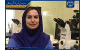 طرح استفاده از سلولهای بنیادی مشتق از اندومتر در درمان ناباروری به مرحله کارآزمایی بالینی رسید