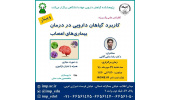 کنفرانس علمی یکروزه «فرآورده های گیاهی موثر در بیماریهای اعصاب» برگزار شد
