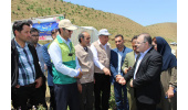 طرح ملی توسعه مشاغل خانگی به توسعه روستاها و مناطق عشایری کمک میکند