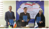 ضرورت استفاده از کسب و کارهای فناورانه در صنعت فرش ایران