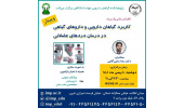 کنفرانس علمی «کاربرد گیاهان دارویی و داروهای گیاهی در درمان دردهای عضلانی» برگزار شد