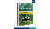 کتاب «اختلال ریاضی در کودکان» وارد بازار نشر شد