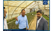 ظرفیتهای ویژه جهاددانشگاهی برای تقبل ماموریت در برنامه هفتم توسعه در حوزه گیاهان دارویی