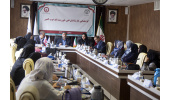 فعالیت ۴۵ نمایندگی بانک خون بند ناف رویان در کشور