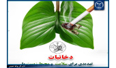 پربازدیدترین مقالات علمی با موضوع دخانیات معرفی شدند