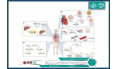 تشریح زمینه های مختلف کاربردی نانومواد کربنی در زیست پزشکی