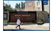ارائه خدمات درمانی بدون وقفه در پژوهشگاه رویان جهاددانشگاهی ادامه دارد