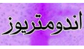 دستاورد پژوهشگاه ابنسینا جهاددانشگاهی؛ مکمل آنتیاکسیدانی «ان-استیلسیستئین»؛ امید تازه برای کاهش درد آندومتریوز