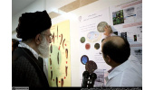 پاسخ امام شهید به اولین دستاورد سلولهای بنیادی: این تازه آغاز راه است